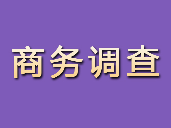 云岩商务调查